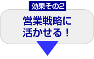 効果その2　営業戦略に活かせる！