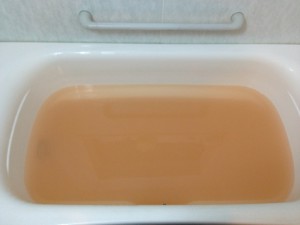 IMG_0982