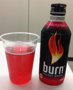 bur01