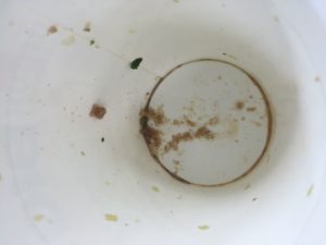土田さんはスープ一滴も残さず、完食です!