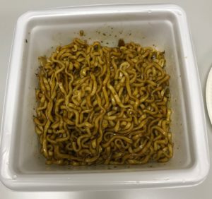 ソースやきそば。見た目の違いはありません。